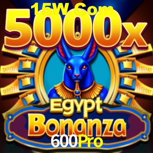 Flash Promotion 600Pro