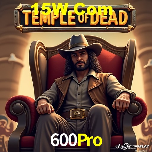 Security Systems 600Pro